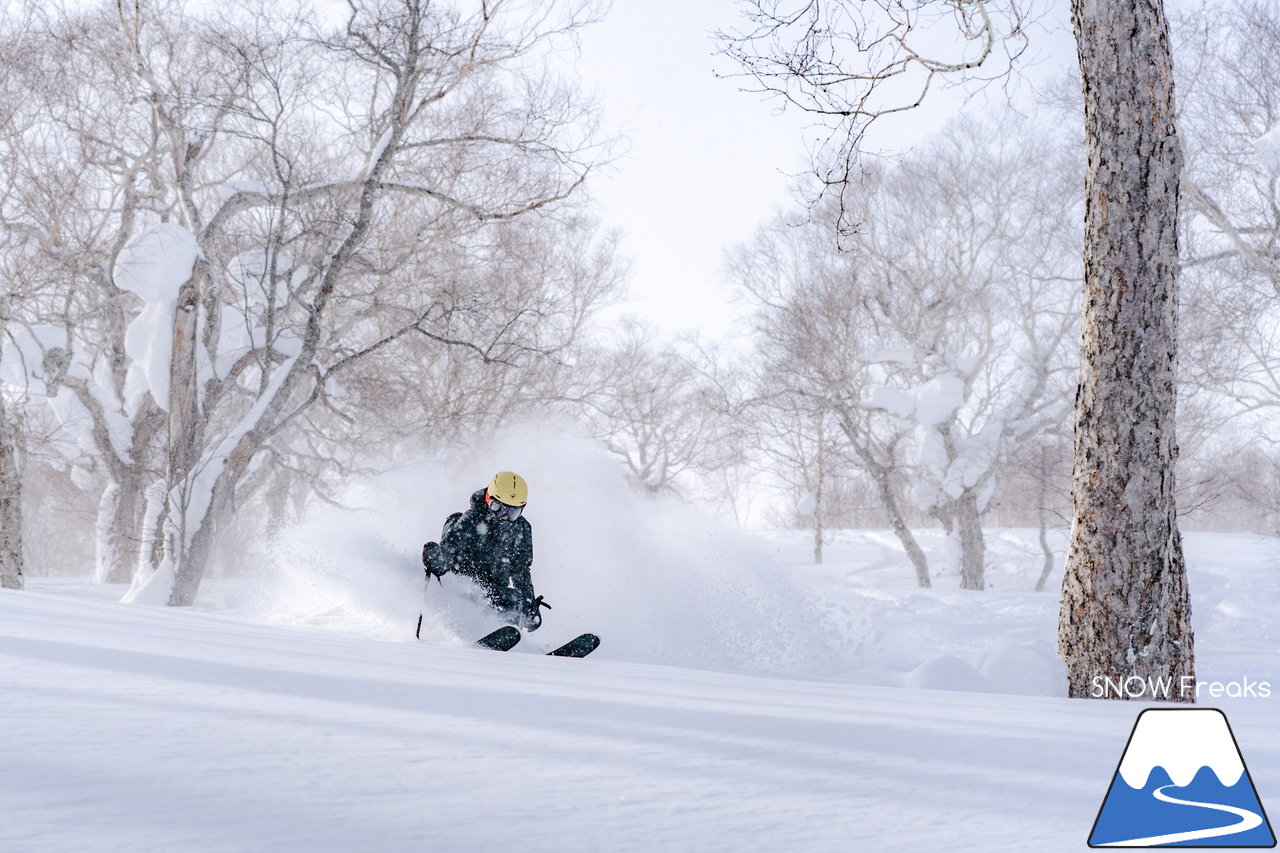 ニセコ東急グラン・ヒラフ｜積雪400cm！ニセコの『PowderSnow』を味わい尽くす、贅沢な時間♪